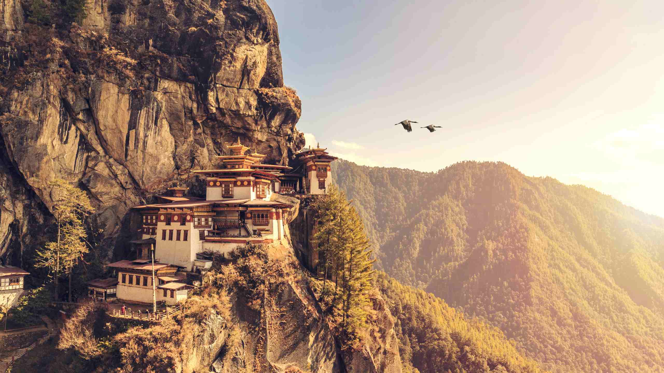 Travelling from Singapore to Bhutan: What You Need to Know