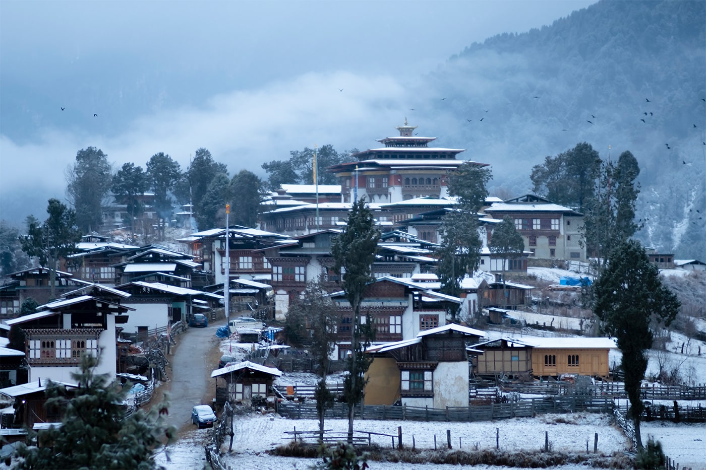 the winter phobjikha valley